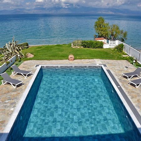 Antorina Beachfront Villas With Private Pools Kamari  Экстерьер фото
